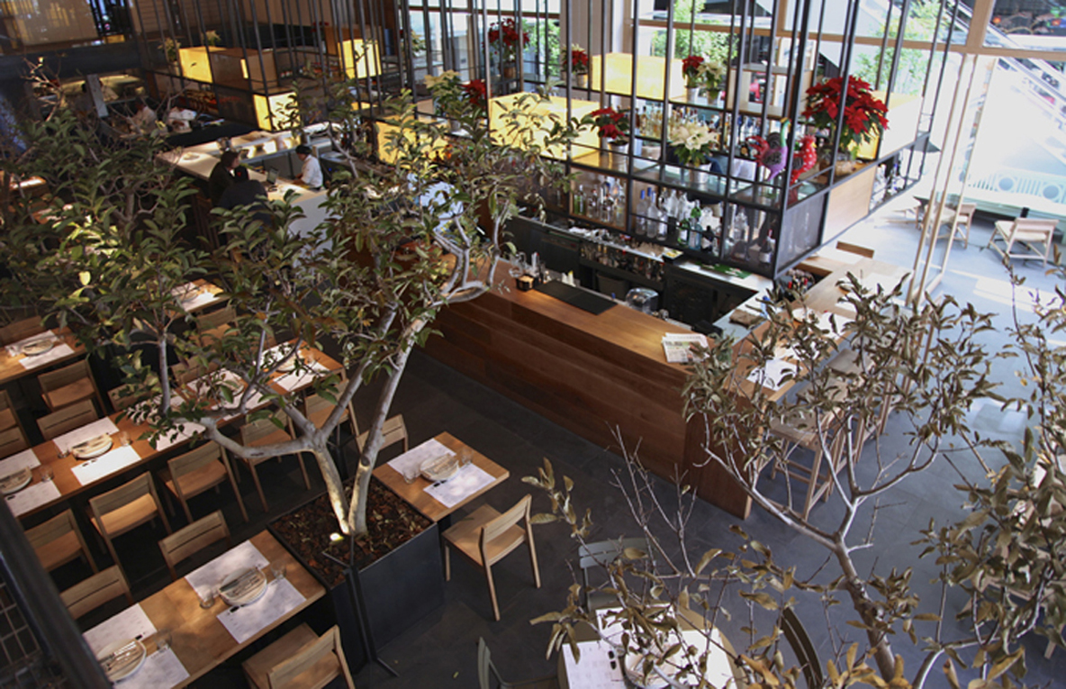 restaurants Cuines Mexico MexicoDF