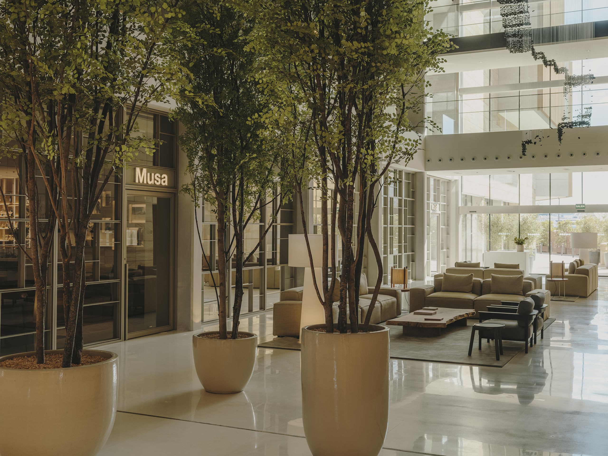 Hanging Planters