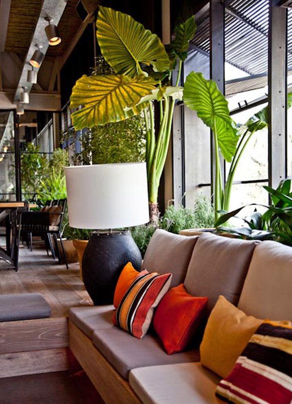 restaurants Bar Tomate Mexico MexicoDF