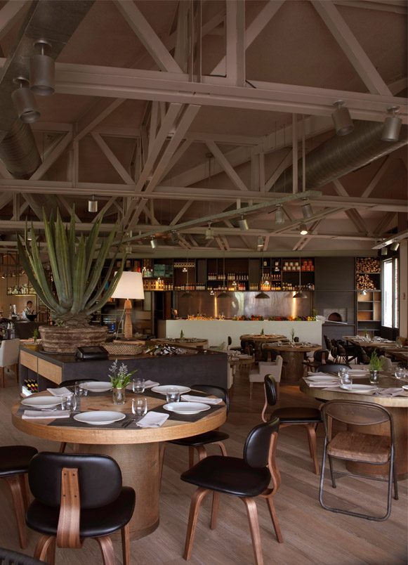 restaurants Bar Tomate Mexico MexicoDF