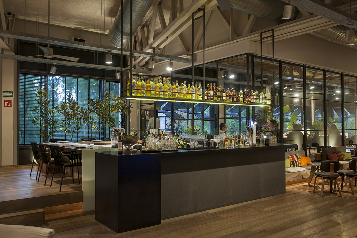 restaurants Bar Tomate Mexico MexicoDF